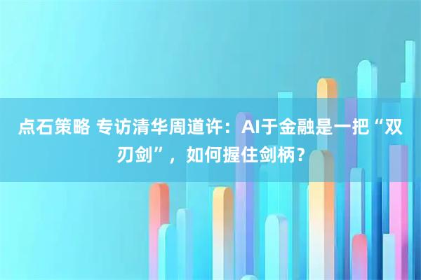 点石策略 专访清华周道许：AI于金融是一把“双刃剑”，如何握住剑柄？